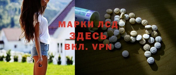 гидра Володарск