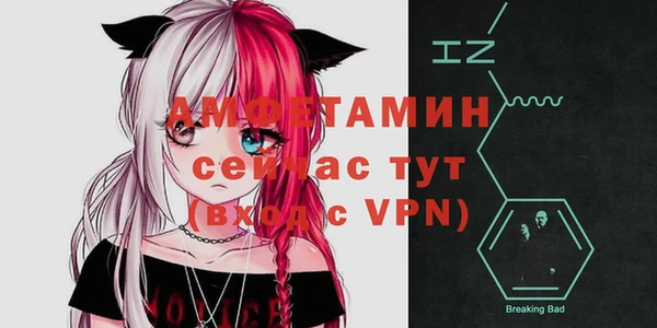Альфа ПВП Верея
