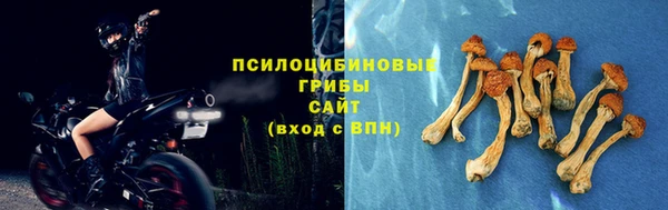 2c-b Волосово