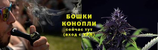 mdpv Бородино