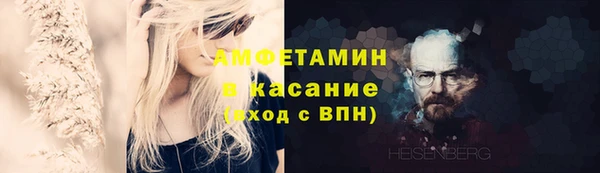 гидра Володарск
