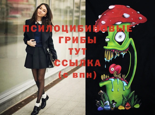 ПСИЛОЦИБИНОВЫЕ ГРИБЫ Вязники