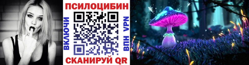 Псилоцибиновые грибы мухоморы  blacksprut маркетплейс  Елизово 