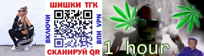 Каннабис сатива Елизово